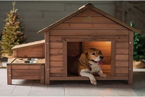 Köpek Evi