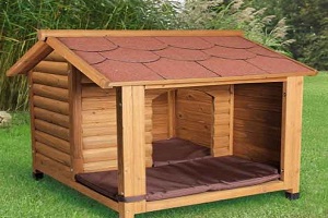 Verandalı Köpek Evi
